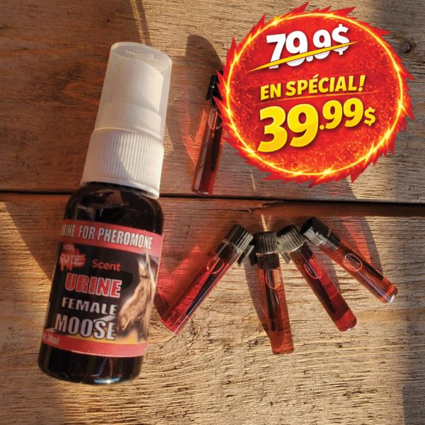 Orignal 46160sm orignal spécial urine synthétique 30ml plus 4 phéromone gratuites