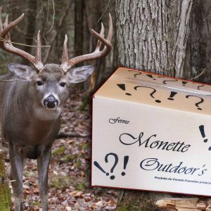 Deer 226 Surprise boxe gift for deer