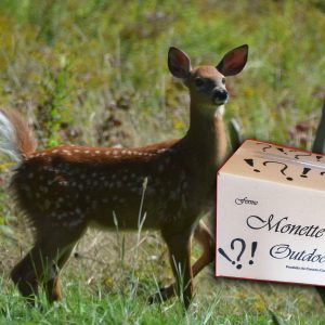Deer 2262 Deer Surprise Gift Box Complete saline Set.