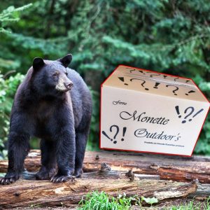 Bear 2272 surprise gift box to bait bears, grant buffet.
