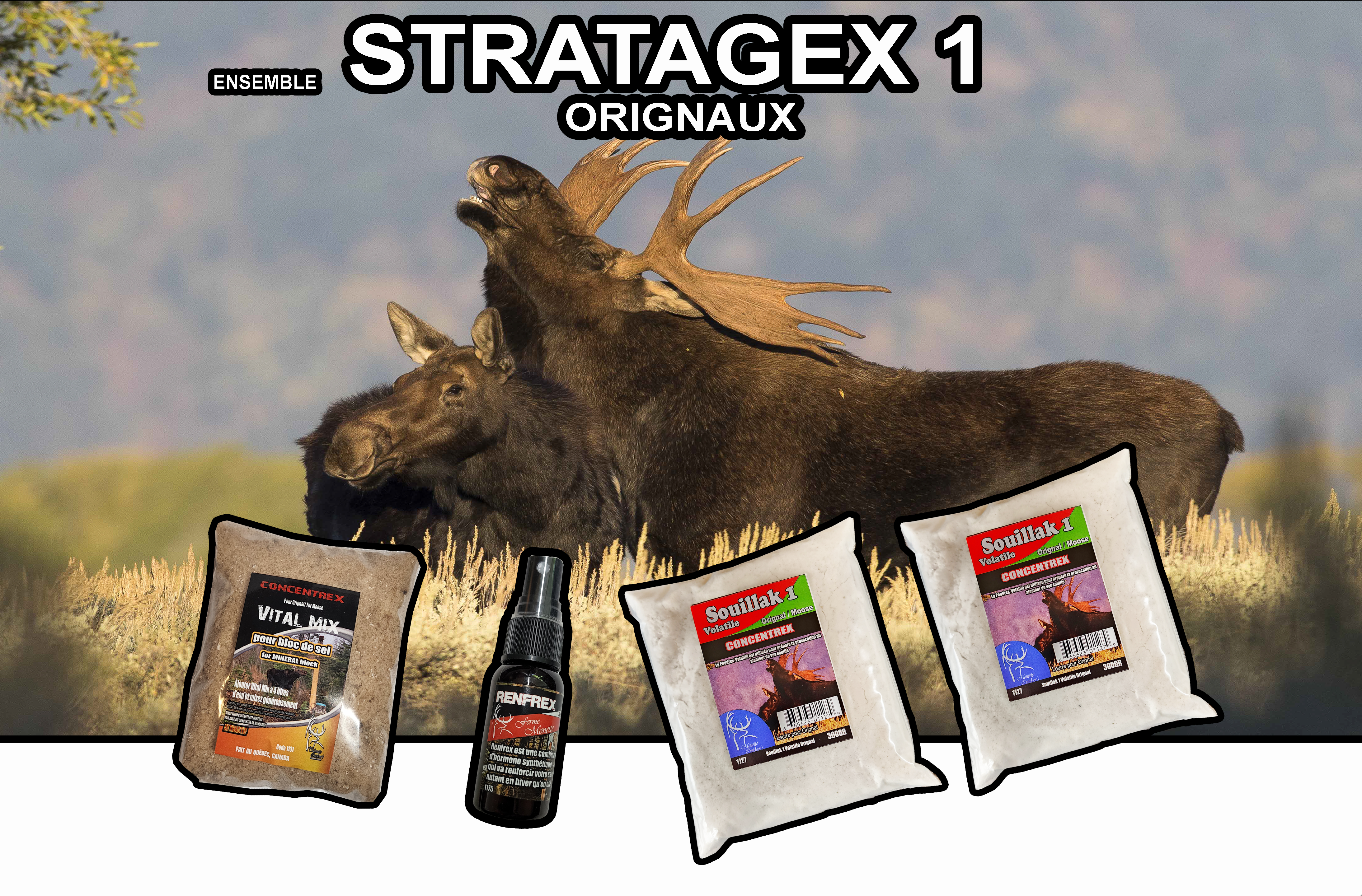 kit STRATAGEX 1 ORIGNAUX #831