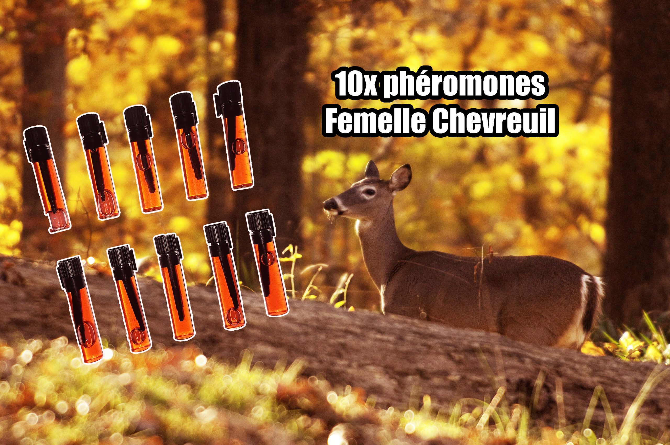 10x Fioles de Phéromone Femelle Chevreuil